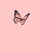 Guest_blueruddypinkfc11