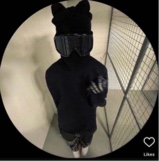 Guest_TrapLxrd2
