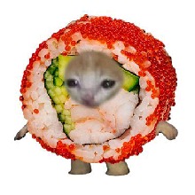 Guest_sushiuwu