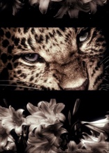 DigitalBleach