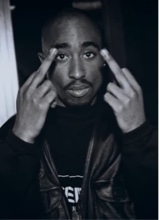 Guest_FloridaJittray1