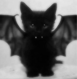 Guest_michinnyeonn