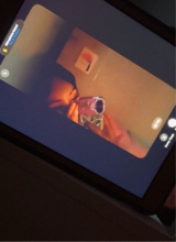 Guest_Amaradabadest