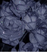 Guest_flakyline999a