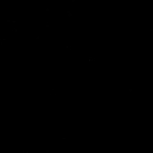 Hamuda1