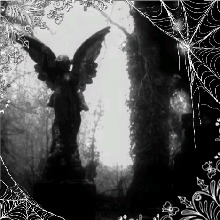 Guest_DAnge5