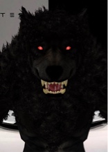 Guest_lucidtorment1