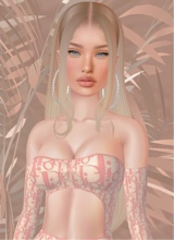 Guest_Transs