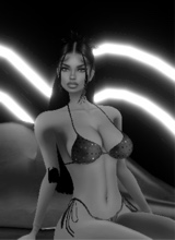 Guest_Millie503846