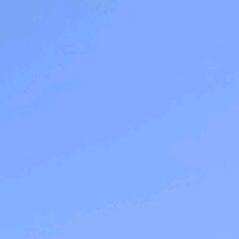 immagine avatar