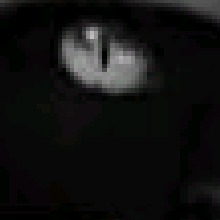 Guest_Sousax02