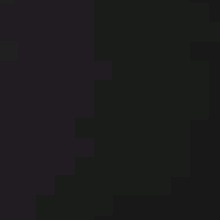 Guest_Disturbed3