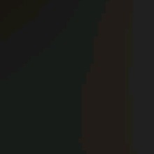 Guest_hl24