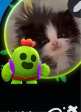 avpic