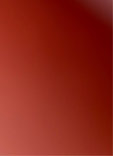 Guest_cupcake294831