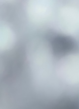 Tyler221385