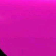 Guest_Ayla19313