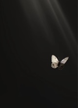 Guest_dominarparisgree5c1c