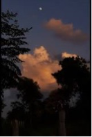 Guest_bella1243