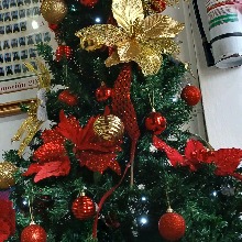 Guest_IsabelPerez4