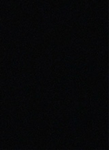 immagine avatar