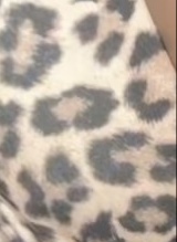 Guest_Dkayah
