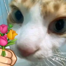 Guest_Nyinzkn