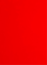 Guest_MiguelCrf