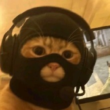 Guest_0qs0