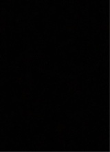 foto del avatar