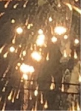 Guest_millie400441
