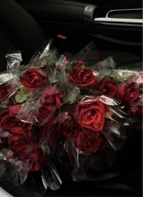 Guest_Melissa934393