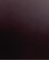 immagine avatar