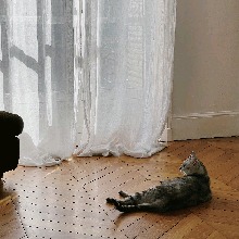 Guest_moran0