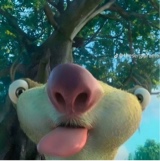 Guest_HeitorAguiar2