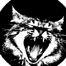 Guest_Salem666