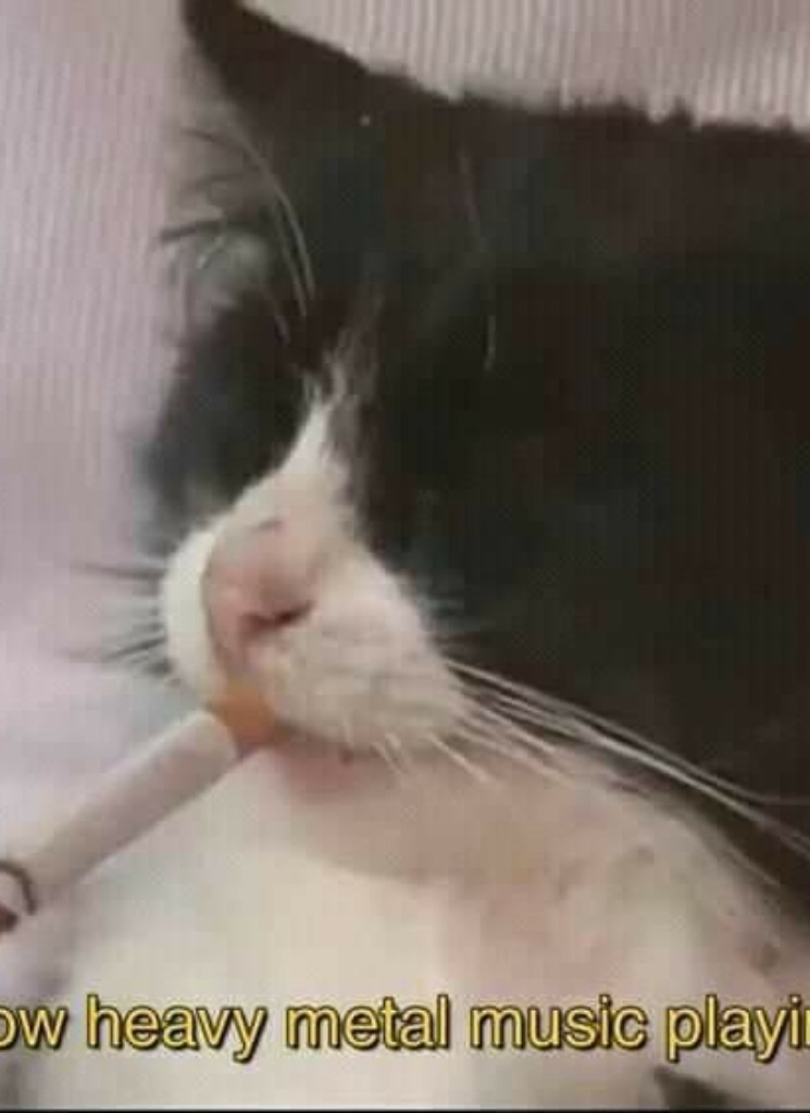 Arret