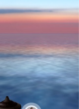 Guest_Arianna480387