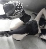 immagine avatar