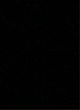 Guest_malia15053