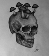 immagine avatar