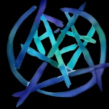 avpic