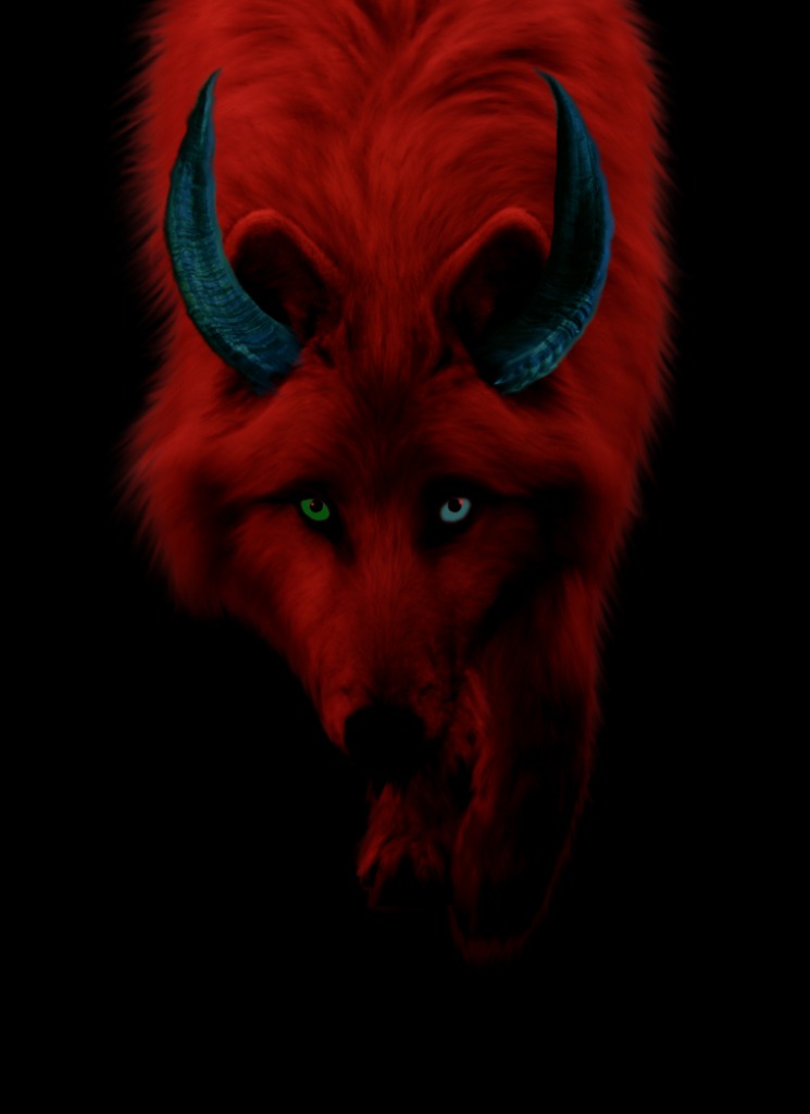 xXSkalliDevilWolfXx