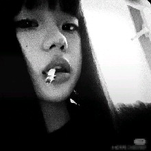 Guest_Laurinha298568