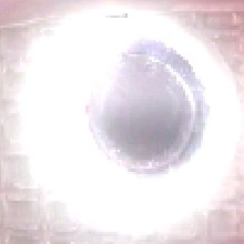 Guest_Carlos988065
