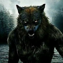 PsychoDarkWolf