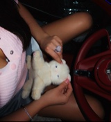 illegaldolly
