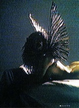 avatar picture