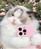 Guest_RoseIra2