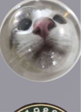 yikesgabi